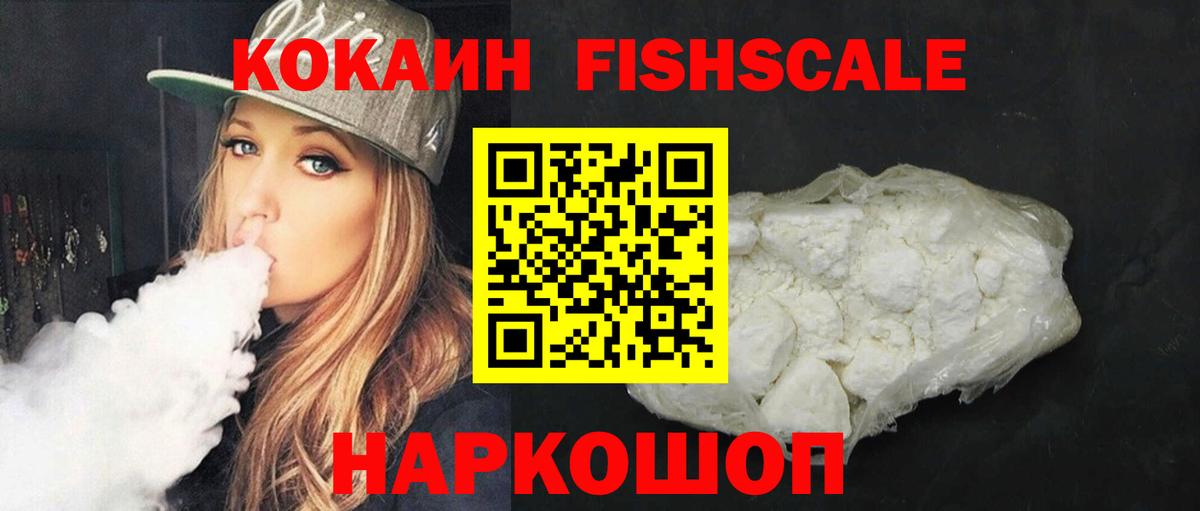 Cocaine Fish Scale  Cocaine Fish Scale  Вход с VPN  где купить   Котовск 